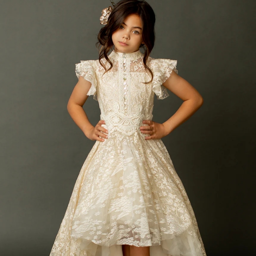 Elegant Blush Lace Dress for Girls